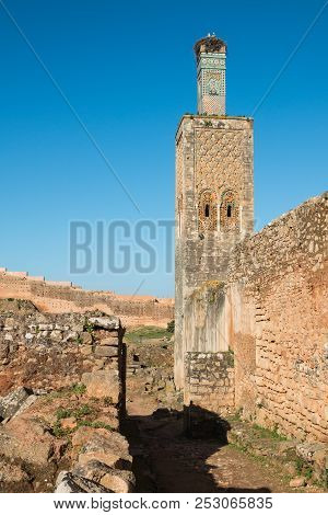 Mosque In A Ruins Of Necropolis Chellah. Stroke Nest On The Top Of The Tower. Sunny Day With A Brigh