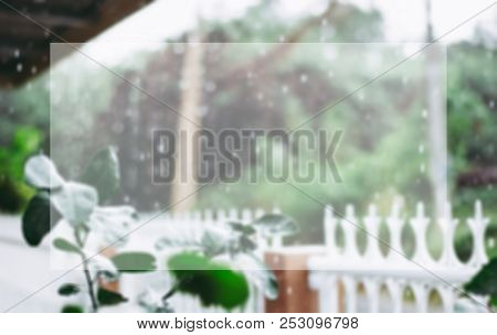 A Lemon Branch With Dark Green Leaves Is Focused On The Left Side Having Blurred House Fense And For