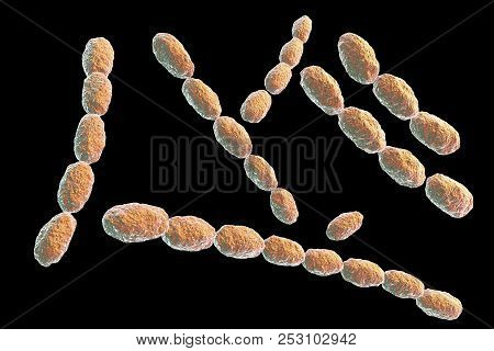 Haemophilus Ducreyi Bacteria, 3d Illustration. Gram-negative Coccobacillus, Which Causes The Sexuall