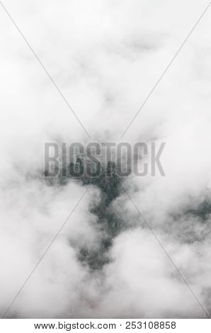 Trees In The Clouds Around The Free Space