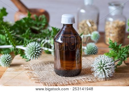 A Bottle Of Glandular Globe-thistle Tincture With Fresh Blooming Echinops Sphaerocephalus Plant