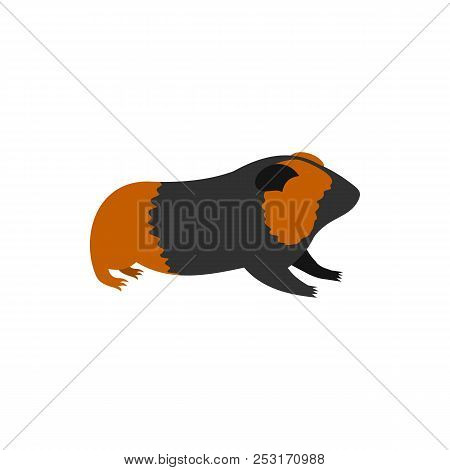 Guinea Pig, Cavy Icon In Flat Style On A White Background