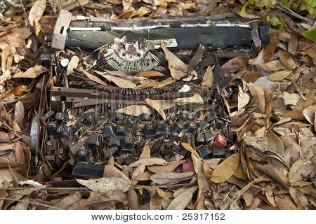 máquina de escrever despedaçada enterrada em folhas