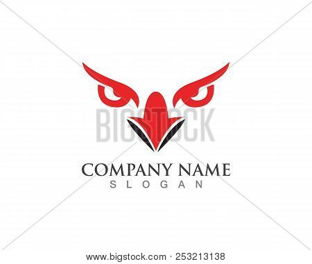 Eye Eagle Logo And Vector