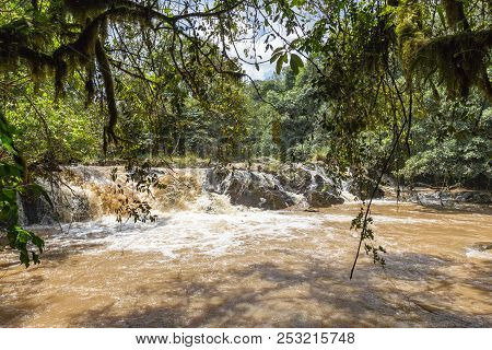 Small Rivers In The Forests Of Kenya. Kakamega Forest. Africa
