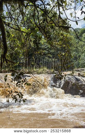 Small Streams In Kakamega Forest. Kenya, Africa