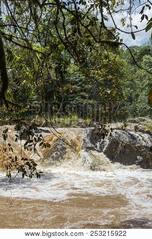 Muddy Rivers In The Heart Of Kakamega Forest. Kenya, Africa.