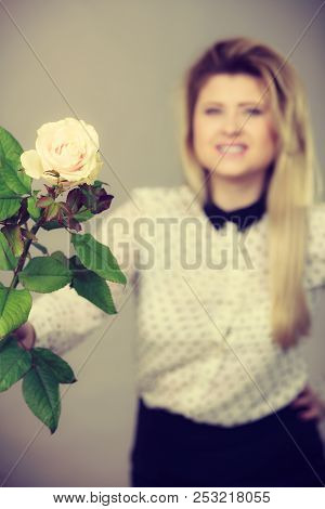 International Women Or Mother Day. Beautiful Portrait Of Pretty Woman Blonde Hair With White Rose Fl