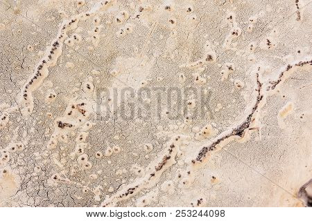 Bottom Hubs That Look Like A Dried Up Salt Lake. A Photo Close Up. A Unique Background.