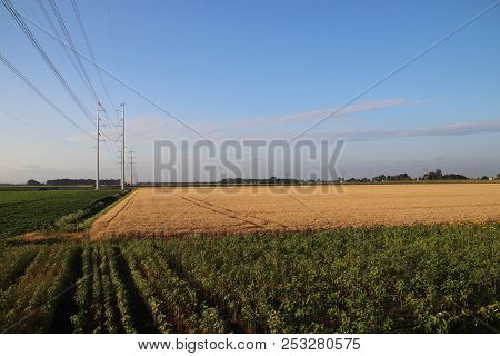 New Power Lines In The Polder At Bleiswijk Heading To Leiden As Part Of The 380kv Ring In The Nether