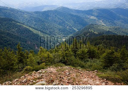 mountain view with green firs, Tibles,  Romania