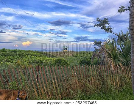 Sunset And Palm Trees At The Beach Overlooking The Dunes