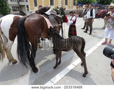 Guca, Serbia, August 11, 2018. 57th Trumpet Festival In Guca. Worldwide Known Music Festival In Serb