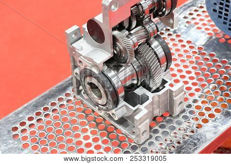 Cross Section Of Worm Gear Pump ; Selective Focus