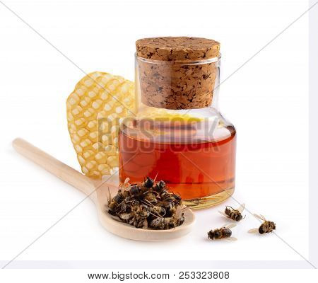 A Bottle Of Tinctures On Dead Bees And Dead Bees In A Wooden Spoon. Treatment With Dead Bees. Dead B