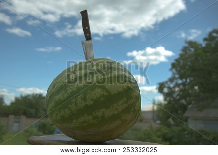 Green Watermelon Against The Sky With Clouds