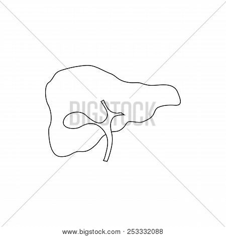 Human Liver Icon In Outline Style Isolated On White Background