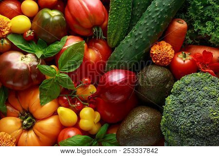 Organic Vegetable Box With Large, Cherry Tomatoes, Basil, Cucumbers, Red Onions, Broccoli And Avocad