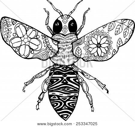 Sentangle Style. Black And White Illustration Of A Bee.