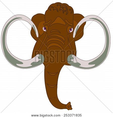 Head Animal Mammoth.head Of The Mammoth On White Background
