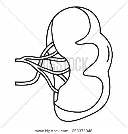 Healthy Spleen Icon. Outline Illustration Of Healthy Spleen Icon For Web Design Isolated On White Ba