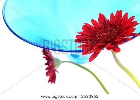 Firandet blomma och glas