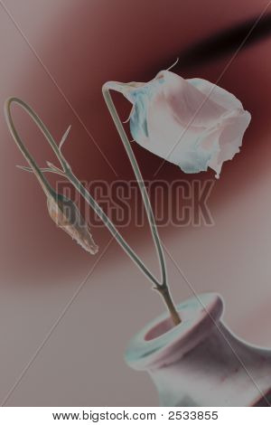 Blommor i vas kreativa Finish