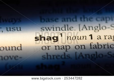 Shag Word In A Dictionary. Shag Concept.