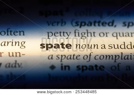 Spate Word In A Dictionary. Spate Concept.
