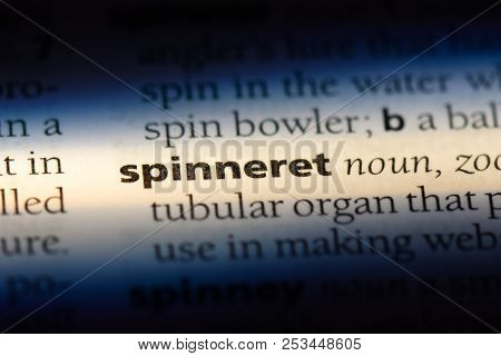 Spinneret Word In A Dictionary. Spinneret Concept.