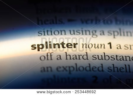 Splinter Word In A Dictionary. Splinter Concept.