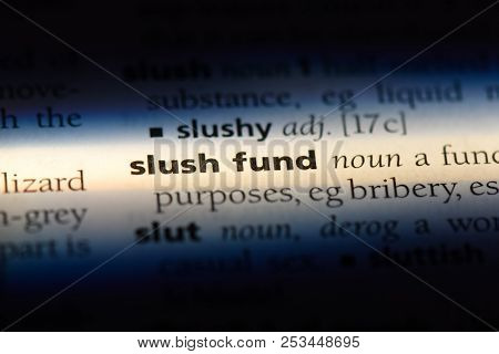 Slush Fund Word In A Dictionary. Slush Fund Concept.