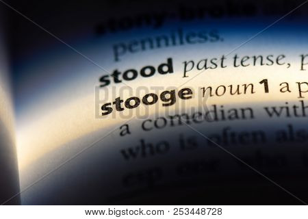 Stooge Word In A Dictionary. Stooge Concept.