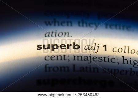 Superb Word In A Dictionary. Superb Concept.