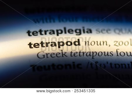 Tetrapod Word In A Dictionary. Tetrapod Concept.