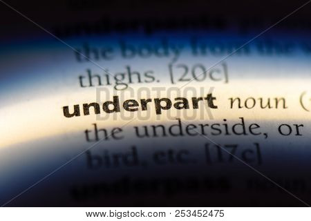 Underpart Word In A Dictionary. Underpart Concept.