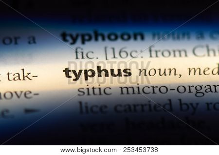 Typhus Word In A Dictionary. Typhus Concept.