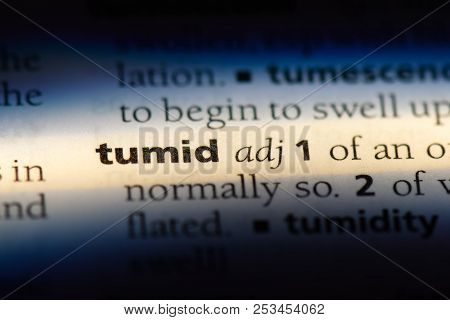 Tumid Word In A Dictionary. Tumid Concept.