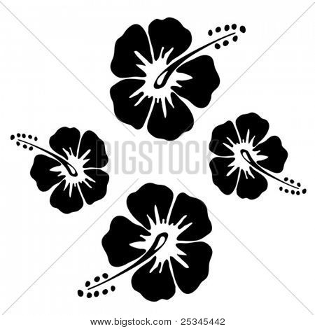 Černá & bílý ibišek