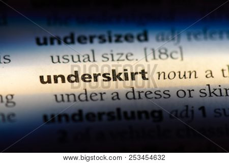 Underskirt Word In A Dictionary. Underskirt Concept.