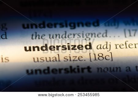 Undersized Word In A Dictionary. Undersized Concept.