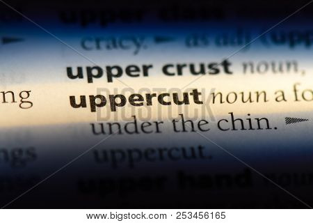 Uppercut Word In A Dictionary. Uppercut Concept.