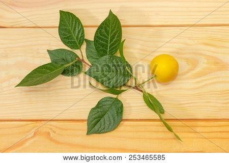 One Yellow Cherry-plum And Small Twig Of Cherry-plum Tree On A Light Colored Wooden Surface