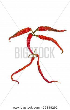 Charakter chilli papriček