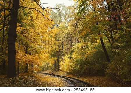 Fall Landscape With Railway Tracks Running Through Autumn Forest