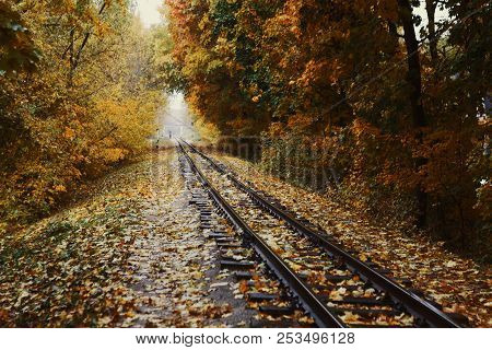 Fall Landscape, Railway Tracks Running Through Autumn Forest