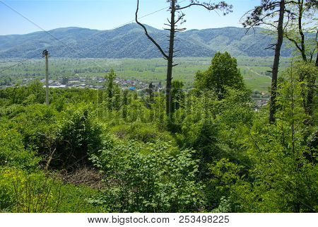 Ancient Ruins Of The Castle Of The Town Of Khust (dracula Castle). A Huge And Powerful Castle That P