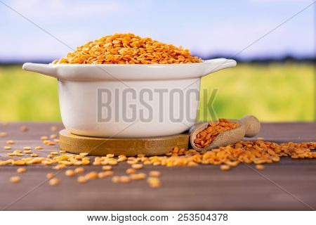 Lot Of Whole Raw Red Lentils In A Ceramic Stewpan With Green Wheat Field In Background