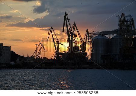 in the rays of the sun. sea ​​cargo port at sunset.