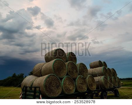Hay Harvesting At The Fields In Lower Saxony